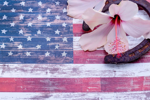 USA hibiscus horseshoe stock photo