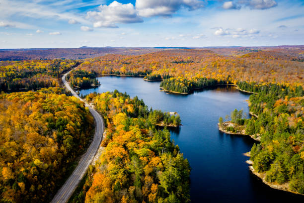 High angle view of a road in autumn Aerial view of a rural highway by a lake and through a forest in autumn ontario canada stock pictures, royalty-free photos & images