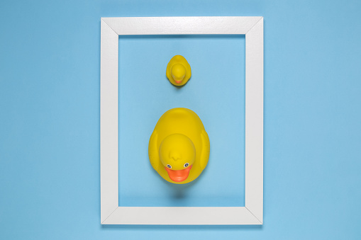 High angle view of big and small yellow rubber ducks framed on plain blue background