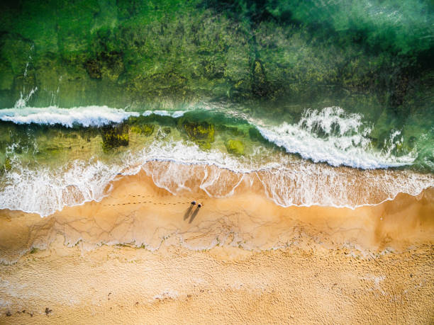 High angle view of couple standing on the beach High angle view of couple standing on the beach algae photos stock pictures, royalty-free photos & images