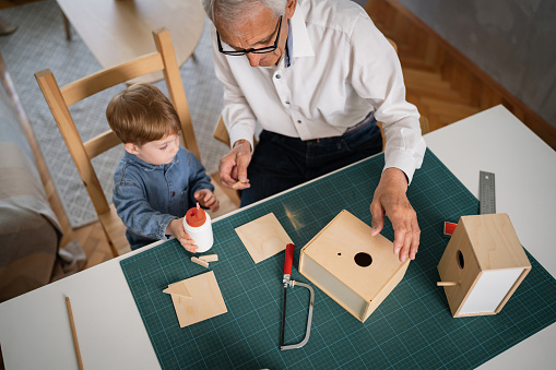 High angle view of Caucasian grandfather and toddler grandson together making a birdhouse