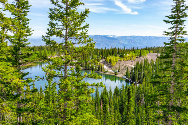 High angle view of pine tree forest and alpine lake water from summit of Thomas Lakes Hike in Mt Sopris, Carbondale, Colorado High angle view of pine tree forest and alpine lake water from summit of Thomas Lakes Hike in Mt Sopris, Carbondale, Colorado basalt stock pictures, royalty-free photos & images