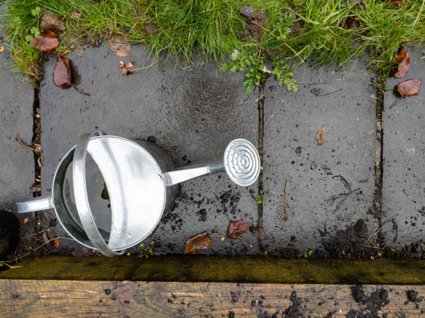 High angle view of watering can in the garden stock photo
