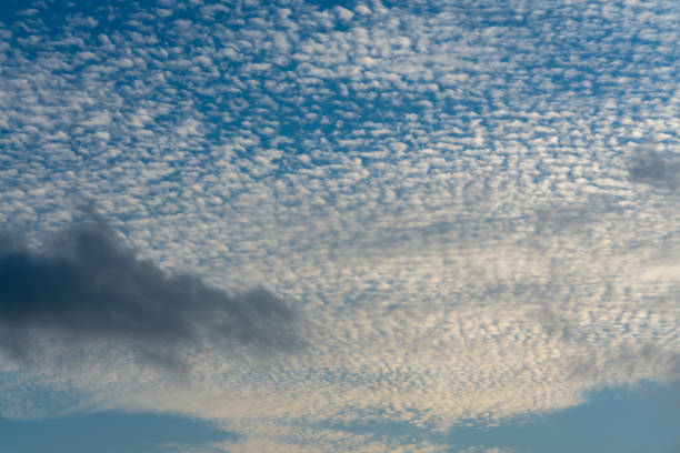 High clouds Cirrocumulus and some low dark clouds Cloudscape, beautiful high clouds Cirrocumulus and some low dark clouds altocumulus stock pictures, royalty-free photos & images
