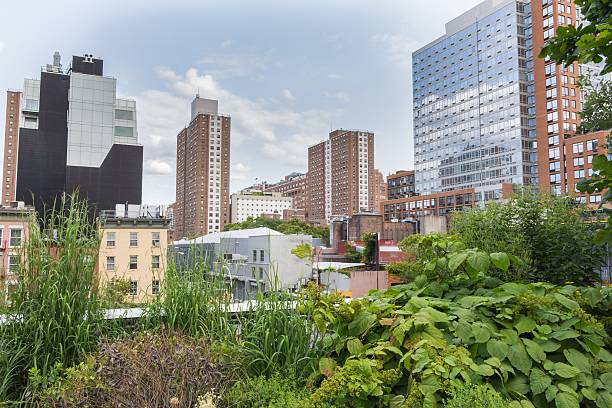 High Line Park in New York, USA View on the Empire State Building from High Line Park in New York. The High Line is a public park built on an old railway track elevated above the streets of Manhattan. urban garden stock pictures, royalty-free photos & images