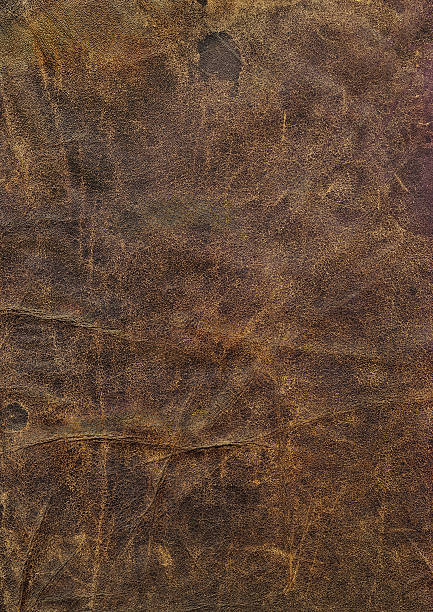 High Resolution Old Dark-brown Cowhide Crumpled Dappled Grunge Texture stock photo