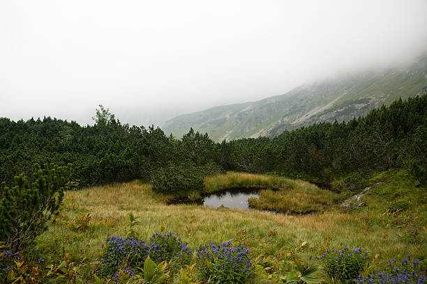 High Tatras Lake stock photo