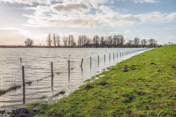 High water at the foot of a Dutch dike stock photo