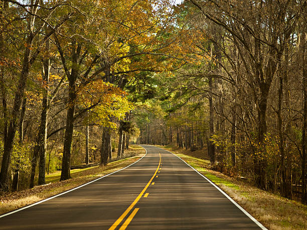 Highway in autumn stock photo