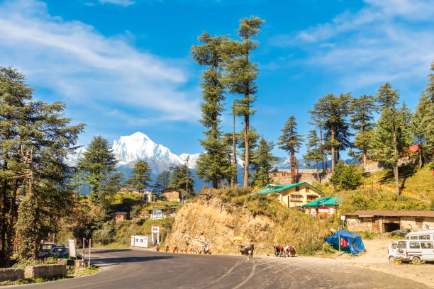 Highway road with view of Himalayan mountain range at Kufri Himachal Pradesh, India stock photo