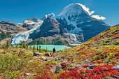 istock Hiker admires view of Mount Robson Canadian Rockies Canada 1280420841