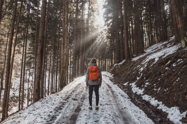Hiker aged 20-25 is walking through the wilderness with his red backpack. Magic hour. The rays of the sun streak through the forest and illuminate the men. Spring snow stock photo