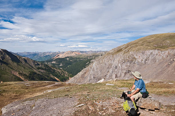 Hiker and Dog Looking at the View A senior adult hiker and his companion dog look out over the San Juan Mountains from 12,000' Columbine Lake Pass in the San Juan National Forest near Silverton, Colorado, USA. jeff goulden domestic animal stock pictures, royalty-free photos & images