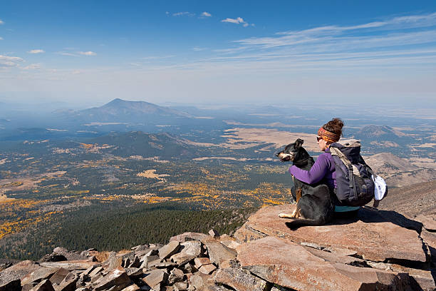 Hiker and Dog on Humphreys Peak This young woman and her dog are hiking on Humphreys Peak in the Kachina Peaks Wilderness near Flagstaff, Arizona, USA. jeff goulden national park stock pictures, royalty-free photos & images