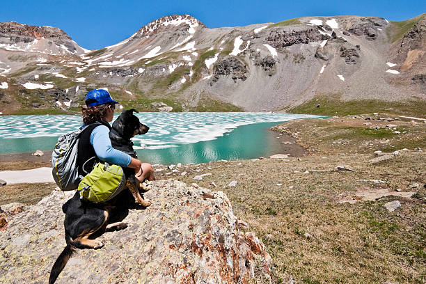 Hiker and Dog Sitting on a Rock at Ice Lake The San Juans in southern Colorado are a high altitude range of mountains that straddle the Continental Divide. This wide-open landscape, at 12,300, is well above timberline. The young woman and her dog were photographed at Upper Ice Lake in the San Juan National Forest near Silverton, Colorado, USA. jeff goulden people stock pictures, royalty-free photos & images