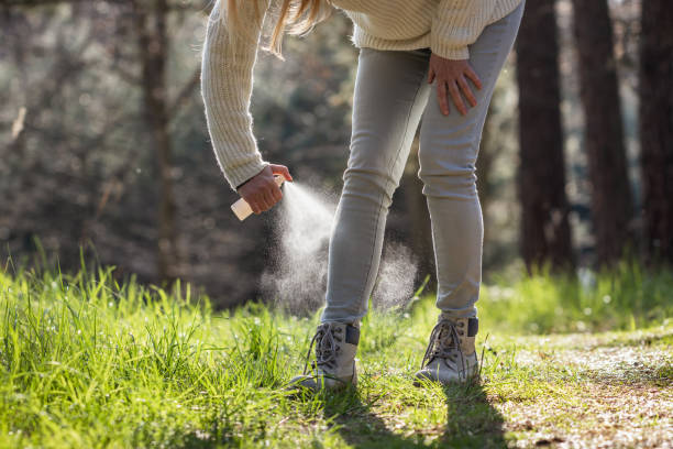 Hiker spraying insect repellent against tick at her legs in woodland stock photo