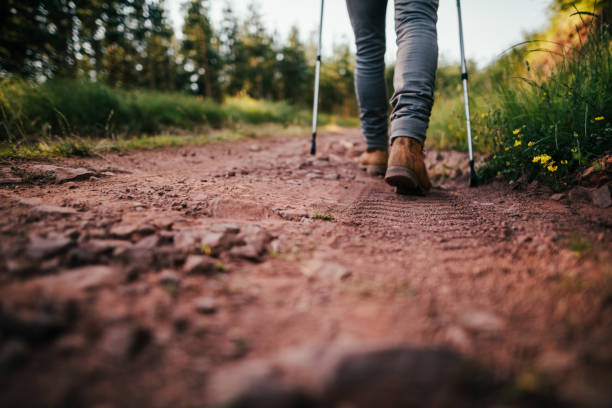 Best Hiking Trail Stock Photos, Pictures & Royalty-Free Images - iStock