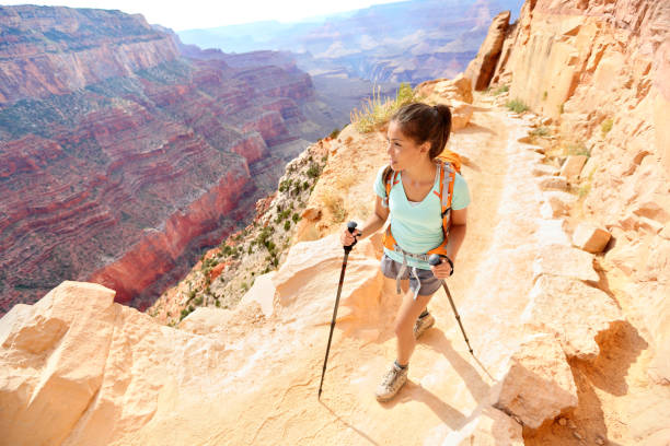 Hiker woman hiking in Grand Canyon Hiker woman hiking in Grand Canyon walking with hiking poles. Healthy active lifestyle image of hiking young multiracial female hiker in Grand Canyon, South Rim, Arizona, USA. south rim stock pictures, royalty-free photos & images