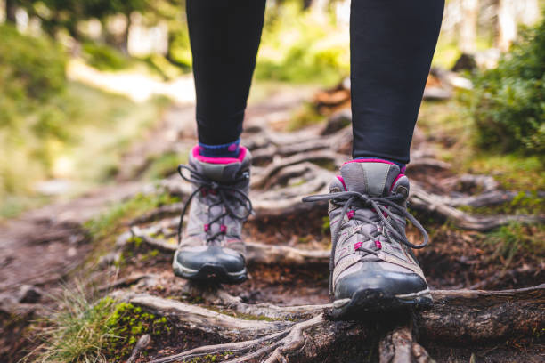Hikers legs on trekking trail in woodland stock photo