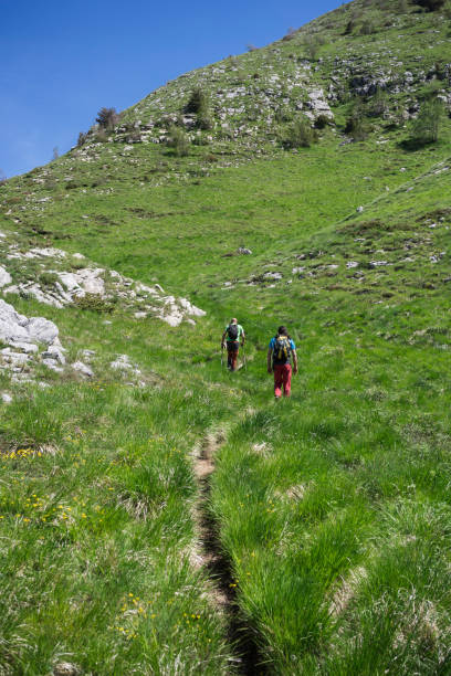 Hikers walk on hill path stock photo