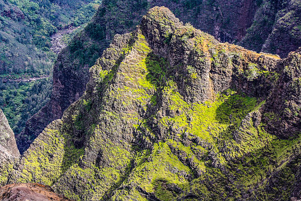 Hiking along Weimea Canyon State Park, Kauai, Hawaii stock photo