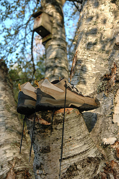 hiking boots on wood stock photo