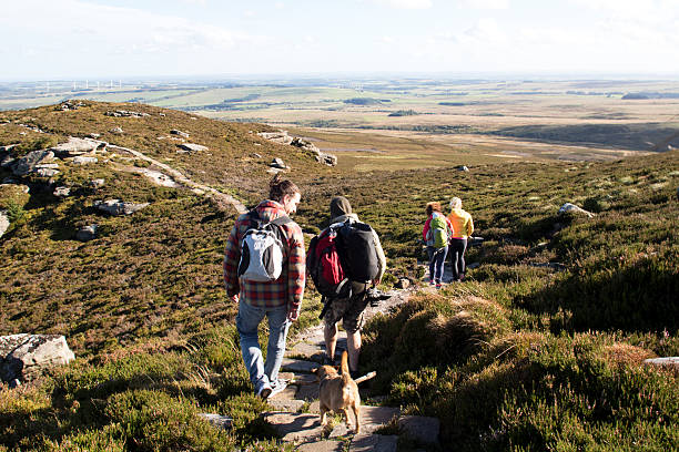 Hiking Club Group of people walking along a stone path in the hills. A pet dog is walking behind them. rothbury northumberland stock pictures, royalty-free photos & images