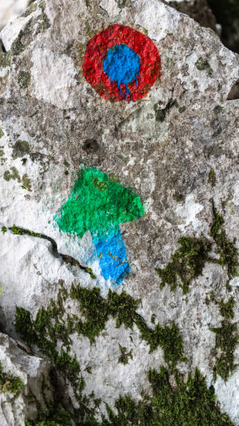 hiking markings on the stone with moss - tadic stockfoto's en -beelden