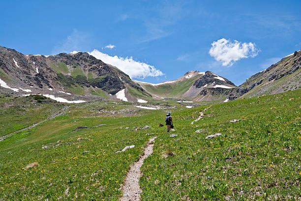 Hiking to Columbine Lake Pass The San Juans in southern Colorado are a high altitude range of mountains that straddle the Continental Divide. This wide-open landscape, at 12,300, is well above timberline. The young woman and her dog were photographed on their way to Columbine Lake in the San Juan National Forest near Silverton, Colorado, USA. jeff goulden domestic animal stock pictures, royalty-free photos & images