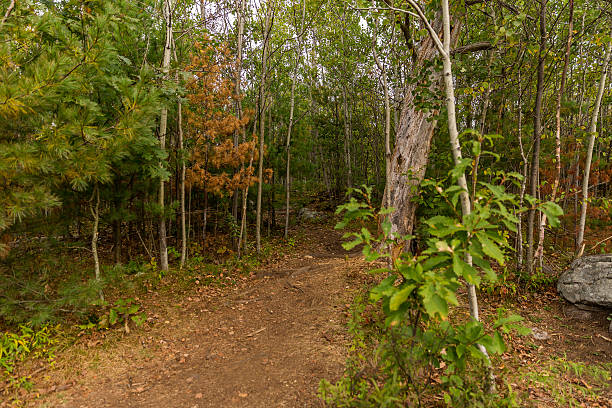 Hiking Trail stock photo