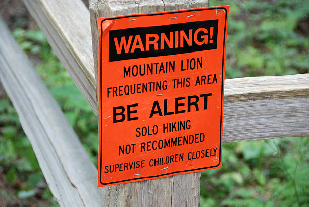 Image result for mountain lion warning signs