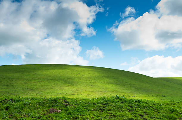 Signal Hill Ca Stock Photos Pictures Royalty Free Images iStock Signal Hill Ca Stock Photos Pictures Royalty Free Images iStock