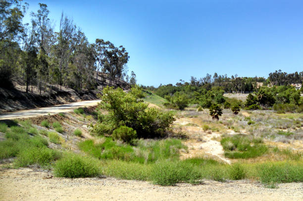 Hillside Trail in Orange County stock photo
