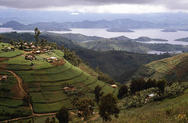 Hilltop Village overlooking Lake Ruhondo Central Highlands Rwanda Africa Hilltop Village overlooking Lake Ruhondo Central Highlands Rwanda Africa erosion control stock pictures, royalty-free photos & images