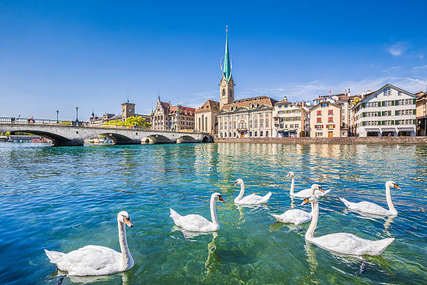 Historic city of Zurich with river Limmat, Switzerland Beautiful view of the historic city center of Zurich with famous Fraumunster Church and swans on river Limmat on a sunny day with blue sky, Canton of Zurich, Switzerland. zurich stock pictures, royalty-free photos & images