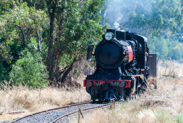 Historic steam train running on Maldon - Castlemaine route in the goldfields of Victoria, Australia stock photo