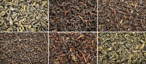 historical black and green tea collection six historical loose leaf black (bohea, oolong, souchong, congou) and green (hyson, singlo) tea collection, the same type thrown over during the Boston Tea Party in 1773. boston tea party stock pictures, royalty-free photos & images