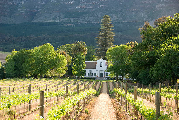 Historical Colonial Building in the Vineyards near Capetown stock photo