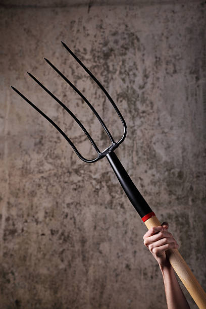 Pitchfork Meaning Pitchfork Meaning