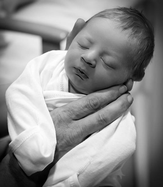 Holding Newborn Baby Black and white photo of human hands holding up a sleeping newborn baby. neicebird stock pictures, royalty-free photos & images