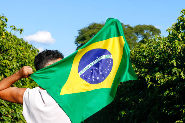Holding the Brazilian flag in the wind Holding the Brazilian flag in the wind. mexican independence day images stock pictures, royalty-free photos & images