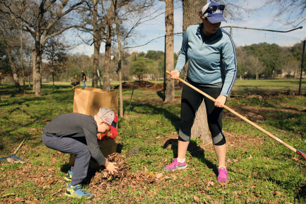 MLK Holiday Day of Service, Pease Park, Austin, Texas Austin, Tx, USA - Jan. 21, 2019:  A volunteer mother and son team rakes leaves in Pease Park in honor of the Martin Luther King Holiday Day of Service. martin luther king jr day stock pictures, royalty-free photos & images