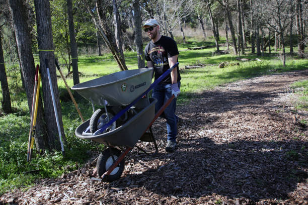MLK Holiday Day of Service, Pease Park, Austin, Texas Austin, Tx, USA - Jan. 21, 2019:  A volunteer returns two empty wheelbarrows used to transport mulch in Pease Park while participating in the Martin Luther King Holiday Day of Service. martin luther king jr day stock pictures, royalty-free photos & images