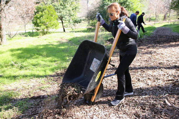 MLK Holiday Day of Service, Pease Park, Austin, Texas Austin, Tx, USA - Jan. 21, 2019:  A woman volunteer dumps a load of mulch on a path in Pease Park while participating in the Martin Luther King Holiday Day of Service. martin luther king jr day stock pictures, royalty-free photos & images