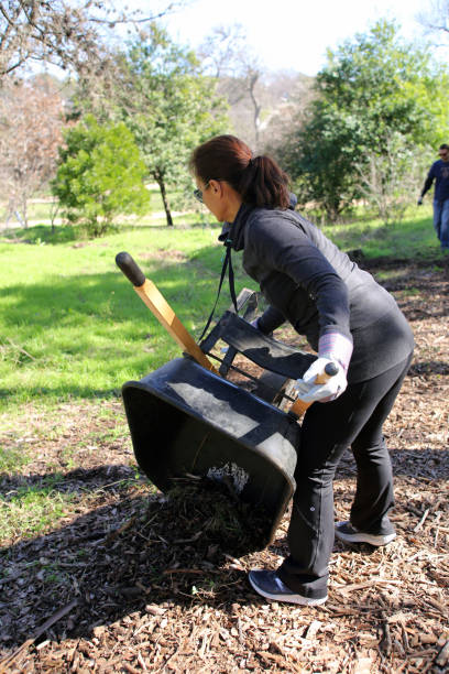MLK Holiday Day of Service, Pease Park, Austin, Texas Austin, Tx, USA - Jan. 21, 2019:  A woman volunteer dumps a load of mulch on a path in Pease Park while participating in the Martin Luther King Holiday Day of Service. martin luther king jr day stock pictures, royalty-free photos & images