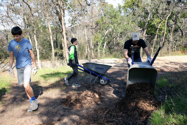 MLK Holiday Day of Service, Pease Park, Austin, Texas Austin, Tx, USA - Jan. 21, 2019:  Adult and child volunteers dump mulch on a path in Pease Park while participating in the Martin Luther King Holiday Day of Service. martin luther king jr day stock pictures, royalty-free photos & images