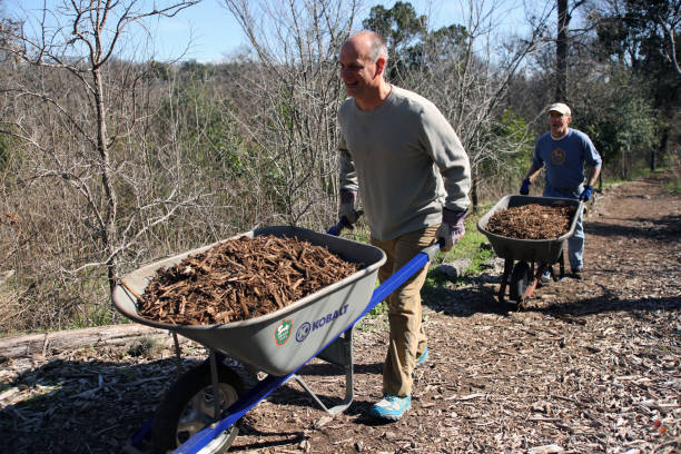 MLK Holiday Day of Service, Pease Park, Austin, Texas Austin, Tx, USA - Jan. 21, 2019:  Two male volunteers haul mulch in wheelbarrows in Pease Park while participating in the Martin Luther King Holiday Day of Service. martin luther king jr day stock pictures, royalty-free photos & images