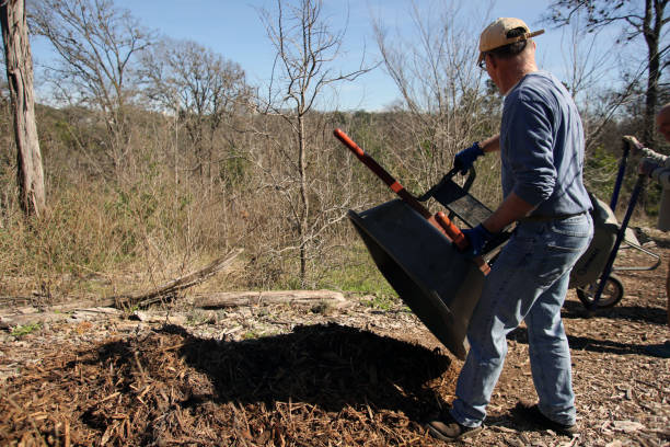 MLK Holiday Day of Service, Pease Park, Austin, Texas Austin, Tx, USA - Jan. 21, 2019:  A male volunteer dumps a load of mulch on a path in Pease Park while participating in the Martin Luther King Holiday Day of Service. martin luther king jr day stock pictures, royalty-free photos & images