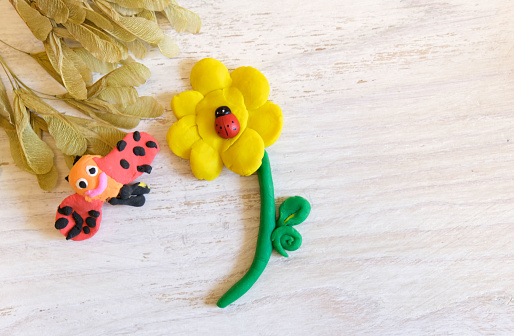 Home Education game with clay and nature material, Flower and lady bug from colorful plasticine, Early development concept. Educational and entertaining classes with children