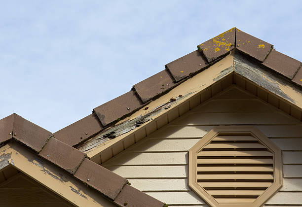 Home Improvement Needed Wood fascia boards now rotten, termite ridden and in need of home improvement. termite damage stock pictures, royalty-free photos & images